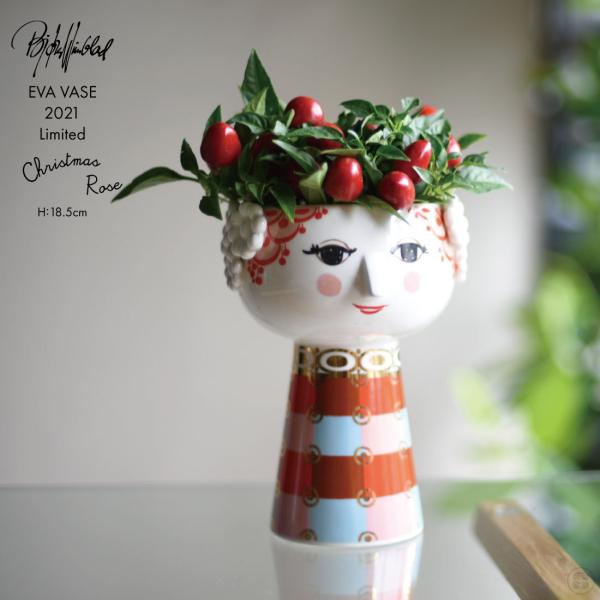 shinwashop_bjorn-56522