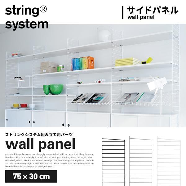 string system �X�g�����O�V�X�e���g���p�p�[�c �E�H�[���p�l�� 75×30cm 1������ �T�C�h�p�l��