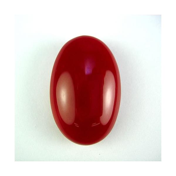 血赤珊瑚27 17mm 小判ジュエリールースdt534 Buyee Buyee 提供一站式最全面最專業現地yahoo Japan拍賣代bid代拍代購服務bot Online