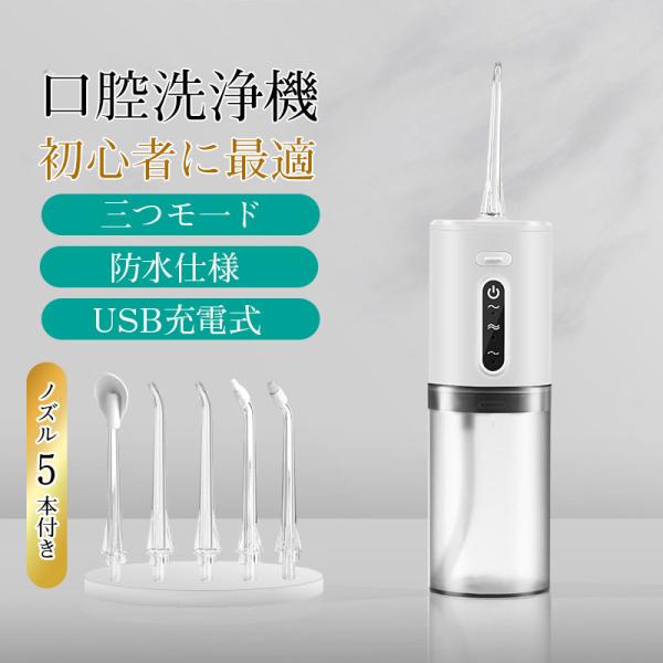口腔洗浄器 ジェットウォッシャー ウォーターフロス 口腔洗浄器 ジェットウォッシャー ウォーターフロス 電動 口内