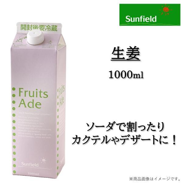 ホワイトグレープ、りんご果汁使用生姜エキス配合辛さ控えめ生姜エキス配合で程よい辛さの「生姜」コンク。様々なドリンクと相性が良く使い勝手の良い人気アイテムです。ソーダ（炭酸水）や冷水で希釈しソフトドリンク、ノンアルコールカクテルとしても人気で...