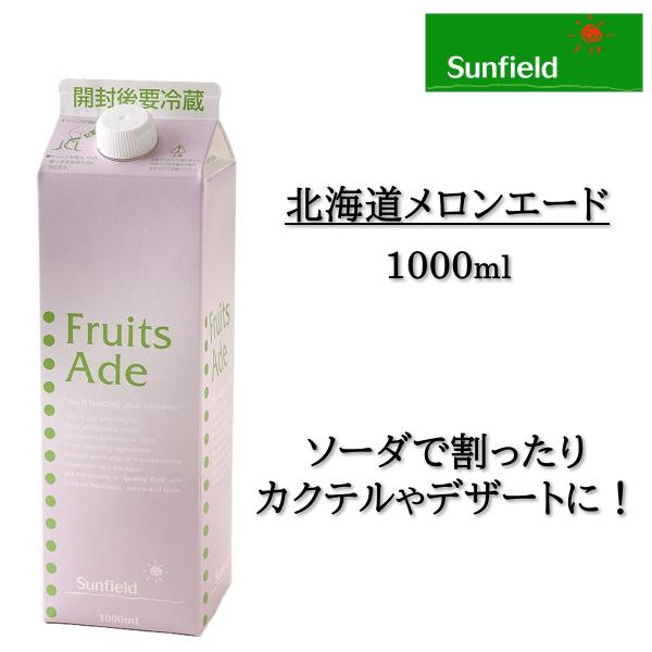 北海道メロンエード 1L シロップ 三田飲料