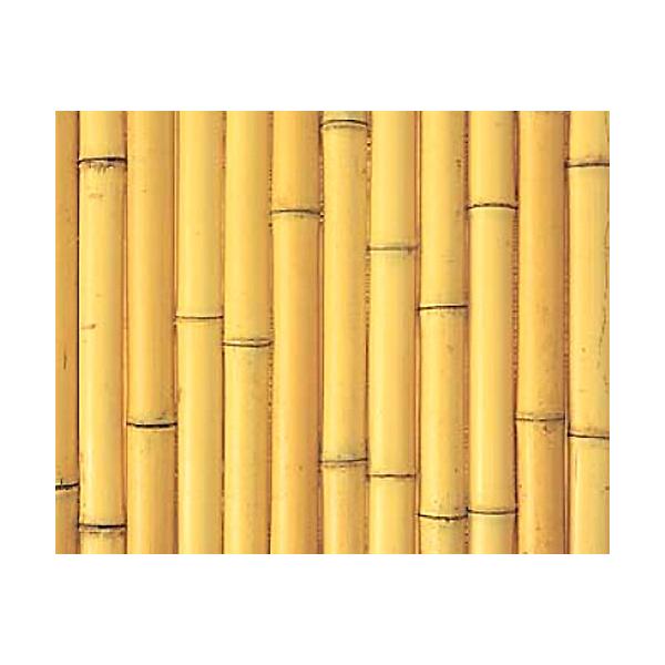 |{[h@N|@R\@ЍL@6.3×3.15