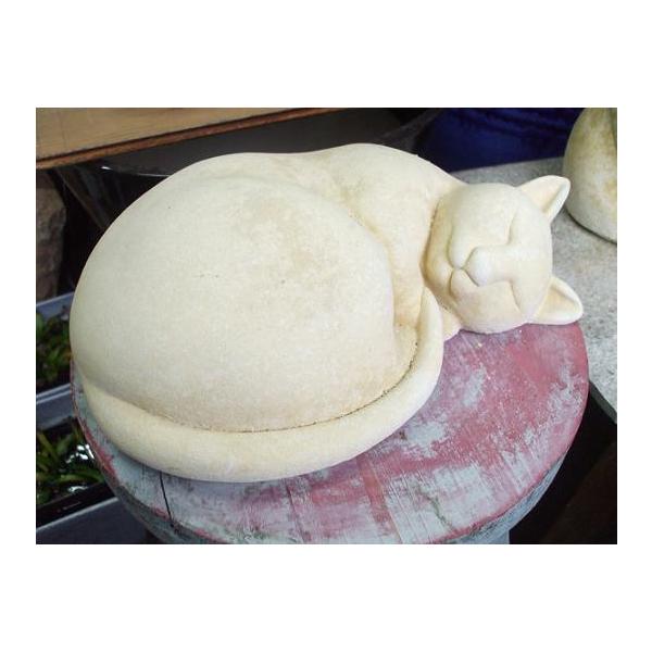 K[fG݁@lR̒u@ۂ܂ĐQĂL