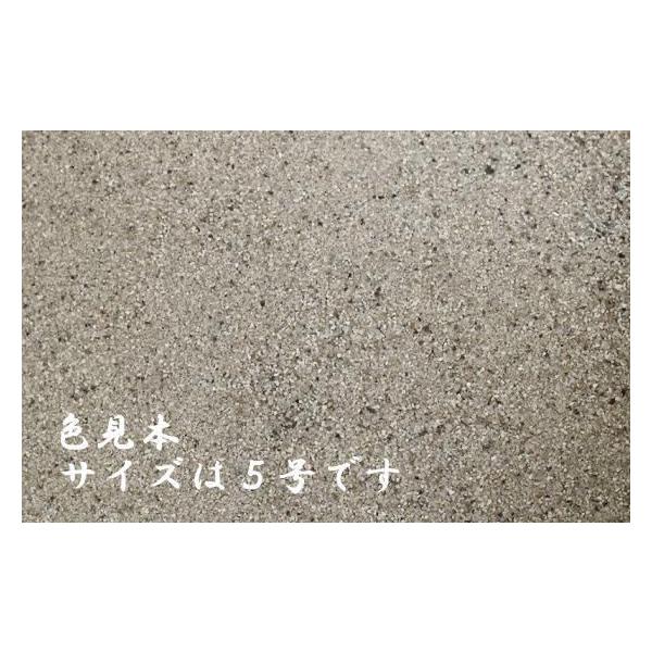 珪砂５号a 30kg Buyee Buyee 提供一站式最全面最專業現地yahoo Japan拍賣代bid代拍代購服務bot Online