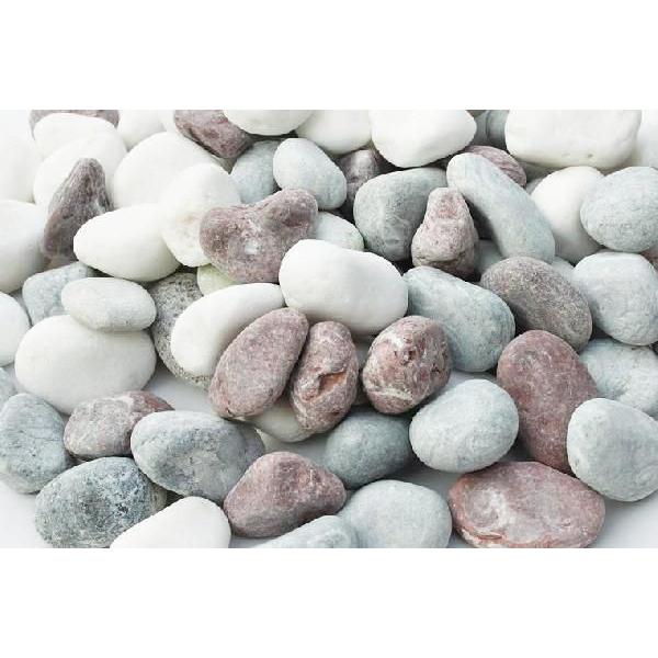 ܐF@ܐFʍ@20kg×50܃Zbg@Ԍ肨i