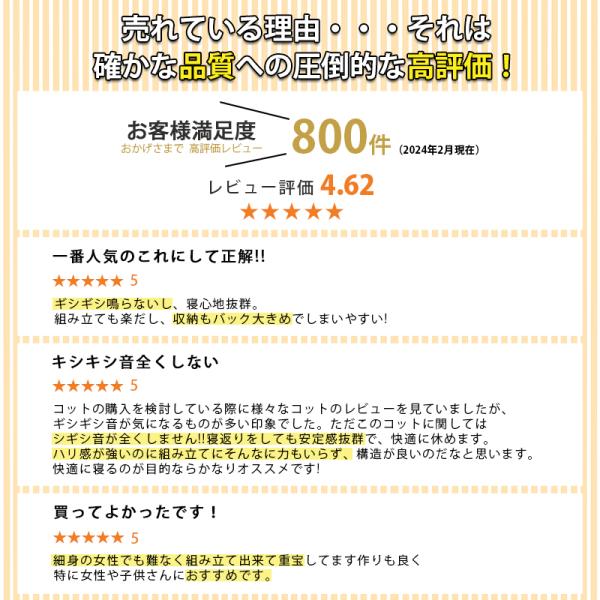 shiona_cb01_2_d_20251009185633