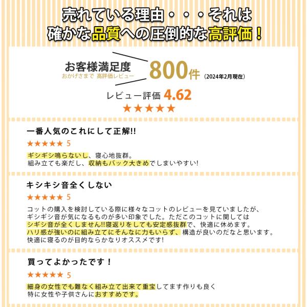 shiona_cb01_2_d_20251222190020