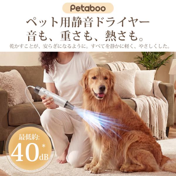 shiona_l200_3_d_20260302175845