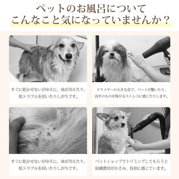 shiona_l200_4_d_20260302175849