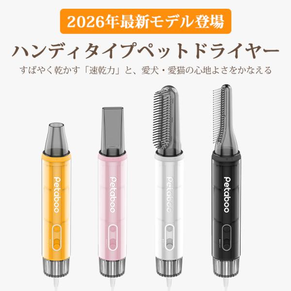 shiona_l200_5_d_20260302175852