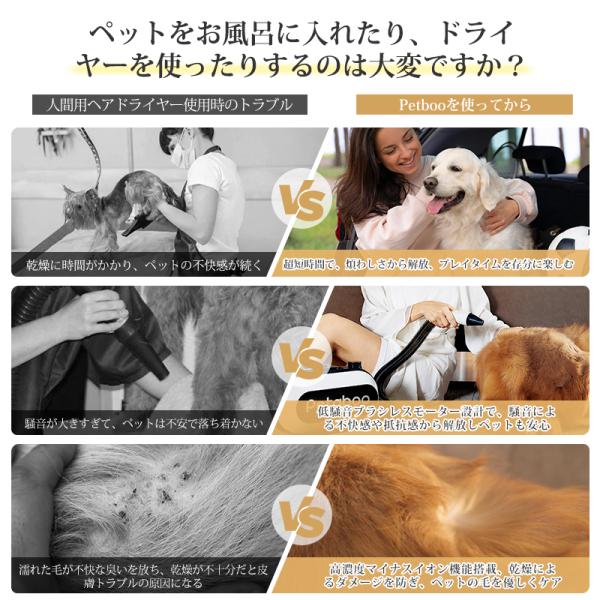 shiona_l400_1_d_20251011145143