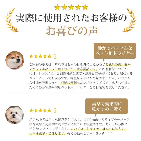 shiona_l400_4_d_20251011145147