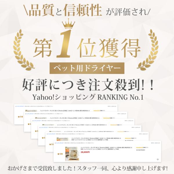 shiona_mh66t_1_d_20251105190219