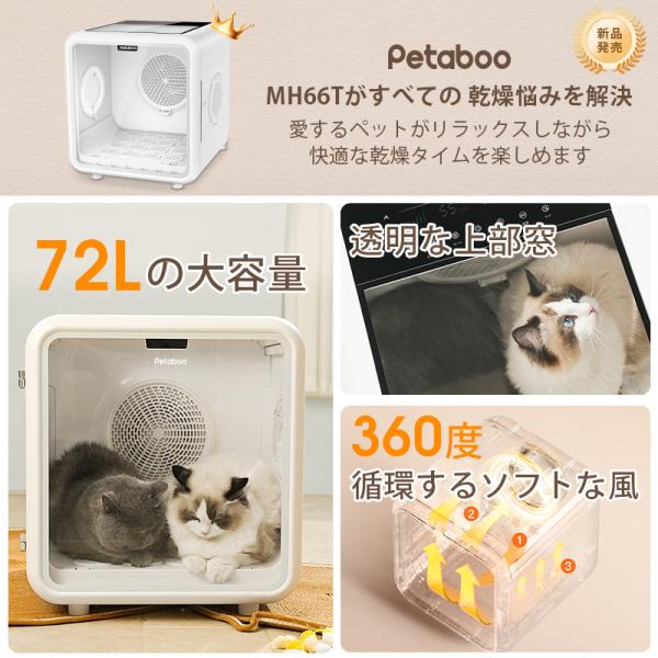 shiona_mh66t_3_d_20251013150438