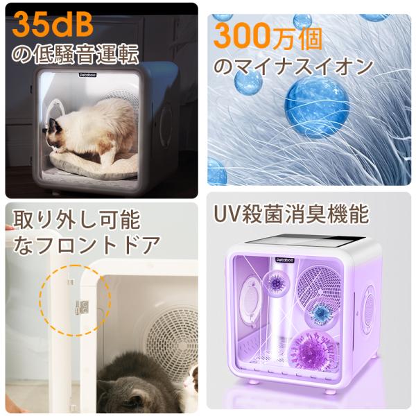 shiona_mh66t_4_d_20251013150439