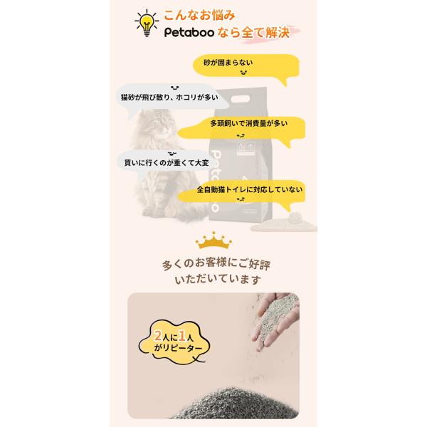 shiona_ms014k_1_d_20260303112436