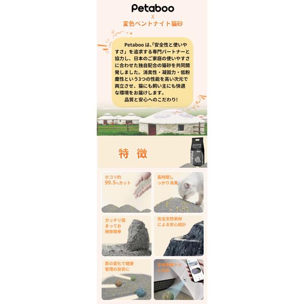 shiona_ms014k_2_d_20260303112437