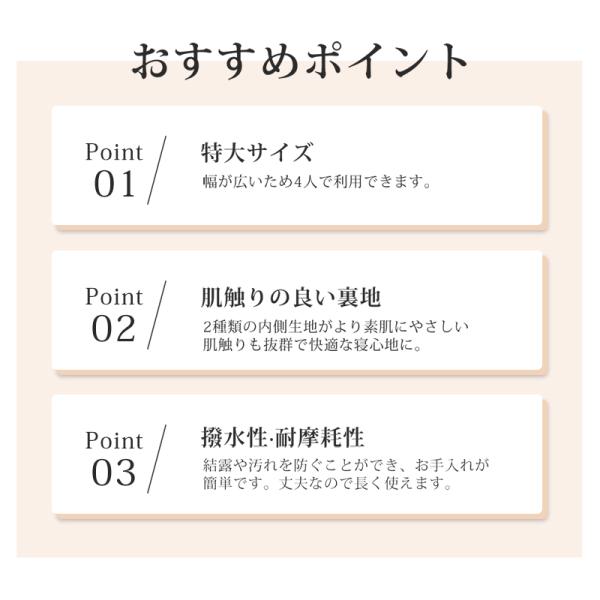 shiona_sd09_4_d_20251008124527