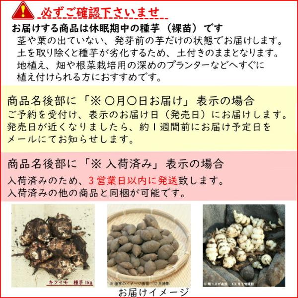 1kg 岩手県産キクイモ種芋1kg 目安5 10個 唐芋 菊芋 生芋 無農薬栽培 土付き 12月3日お届け開始 Buyee 日本代购平台 产品购物网站大全 Buyee一站式代购