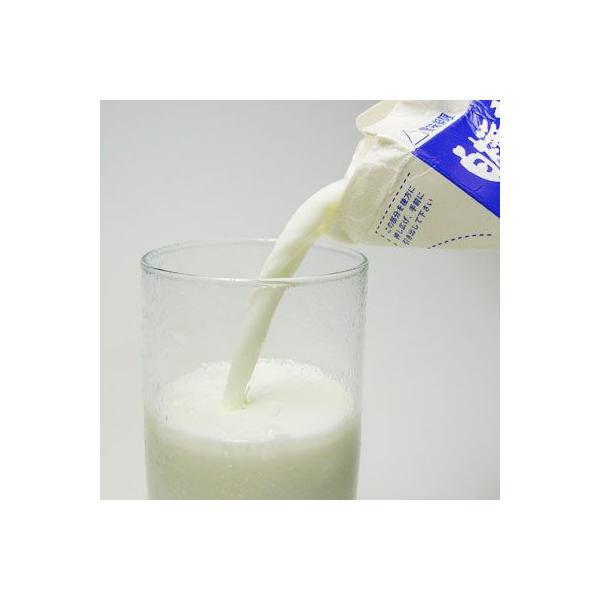 白樺高原牛乳パック500ml 4本牛乳ミルク Buyee Buyee 提供一站式最全面最專業現地yahoo Japan拍賣代bid代拍代購服務bot Online