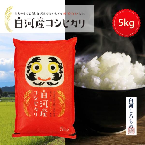 コシヒカリ 米 お米 5kg 赤 白河産コシヒカリ 令和6年度 送料