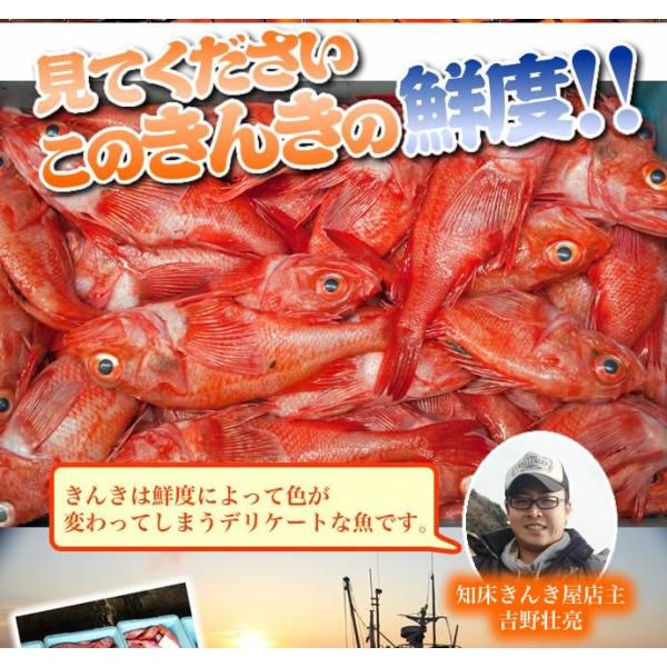 キンキ 魚 一夜干し 知床産 240 260g きんき めんめ キンキの干物 北海道 ギフト Buyee Servicio De Proxy Japones Buyee Compra En Japon