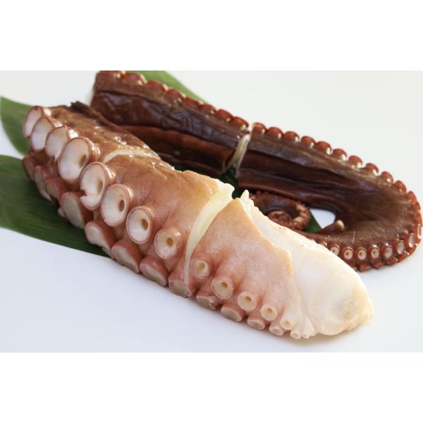 たこ 足 刺身 浜茹で 700〜790gサイズ １本 タコ ギフト 北海道 知床産 食べやすい小分け個包装タイプ