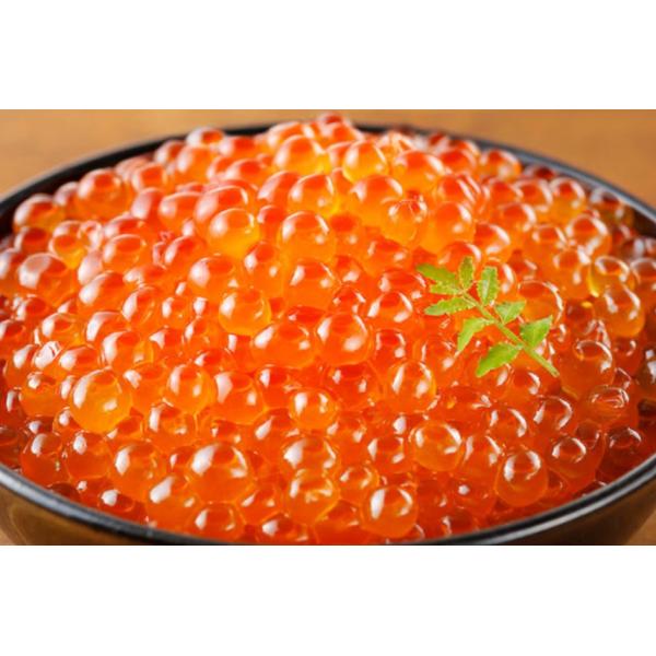 いくら醤油漬け 新物 500g 鮭卵 令和7年 国産 北海道産原料 現地加工 現地出荷 北海道産  鮭  斜里町産 産地直送 浜加工１割引は12/24まで