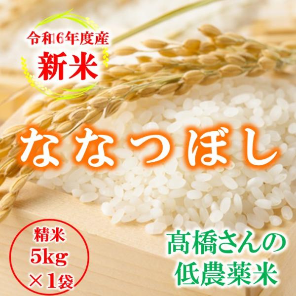 米 お米 5kg 新米 北海道産 ななつぼし 白米 低農薬米 令和5年産 東旭川産 特A 高橋さんのななつぼし