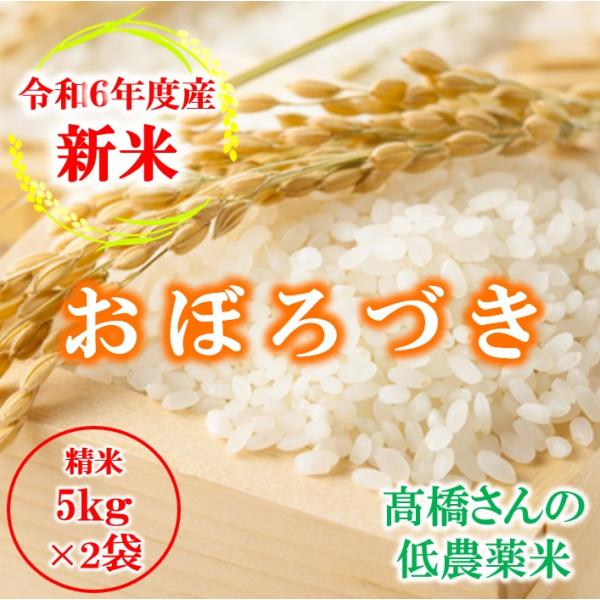 米 お米 10kg（5kg×2袋） 北海道産 おぼろづき 白米 低農薬米 令和7年産 東旭川産 高橋さんのおぼろづき