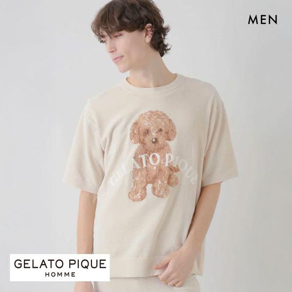 gelato pique ジェラートピケ オム メンズ トイプードル gelato pique ジェラートピケ オム メンズ トイプードル