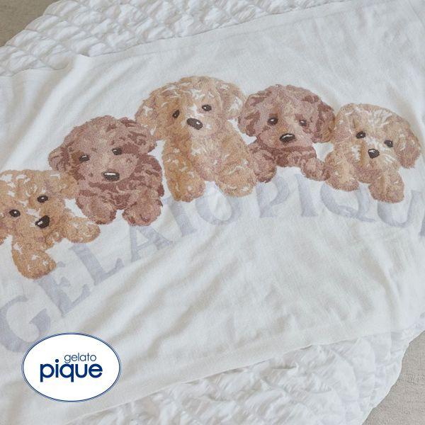 gelato pique ジェラピケ アニマル ジャガード gelato pique（ジェラートピケ）【CAT&DOG】【販路限定商品