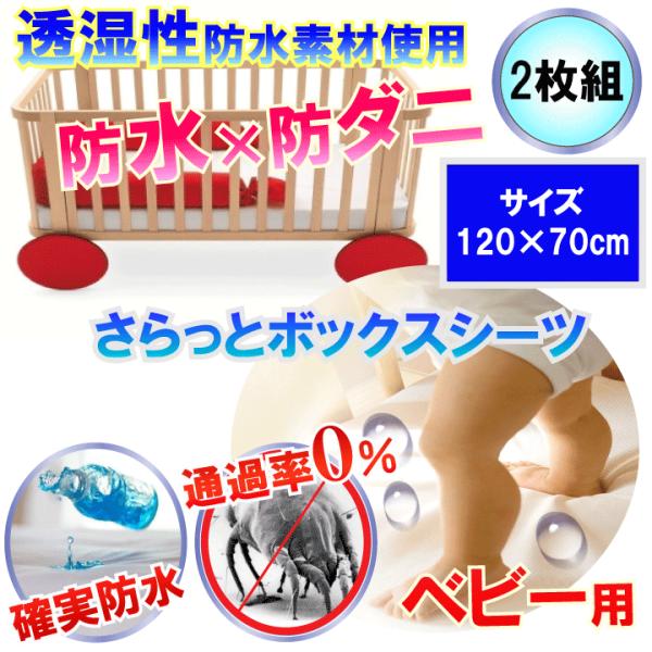 yQgzɂ˂V[c hV[c(120x70x10cm)yhh_jvʁzŐQAf߂AjICA΂݁AJrɂS