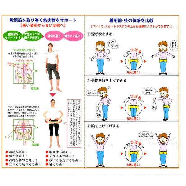 骨盤ベルト バランサーバンド ヘルスパワー 骨盤ベルト 腰部 股関節 サポート 男女兼用 ナカイ健康姿勢研究所 Buyee Buyee 日本の通販商品 オークションの代理入札 代理購入