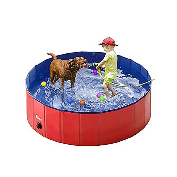 犬用プールおすすめ9選 動物病院院長が選び方のポイントも解説 マイナビおすすめナビ