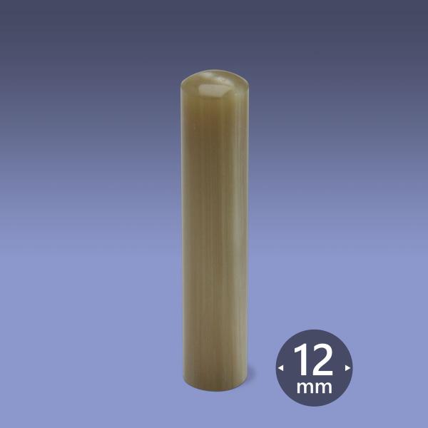 Ol@I_ cF  ې12~@Ol̈ Ol̎ Ol̋s Ol̔F  yY ΂