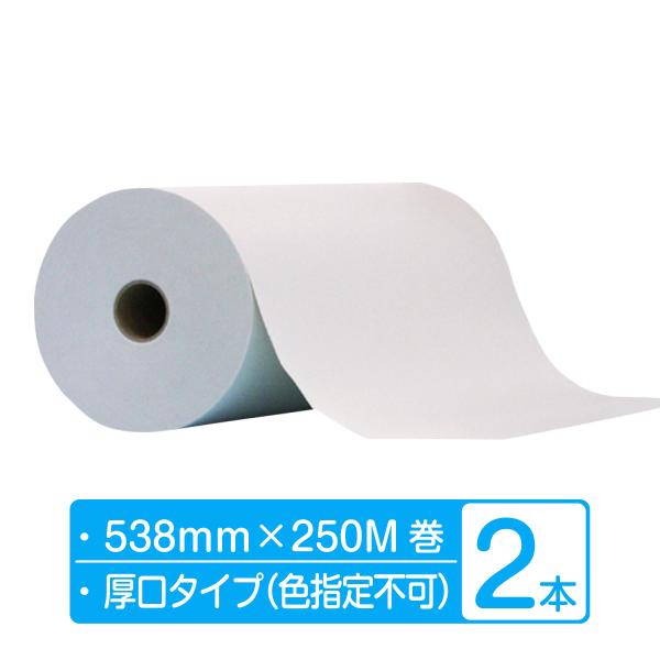 紙緩衝材（紙クッション）エコ梱包 ボーガスペーパー ロール 厚口タイプ 幅538mm×250m巻 2本 (2本×1箱)