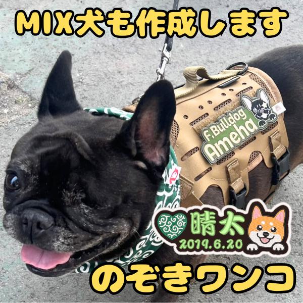 XYZ　ワンちゃんネームワッペン　ハーネスネームタグ　夜光蓄光糸 XYZ ワンちゃんネームワッペン ハーネスネームタグ 夜光蓄光糸
