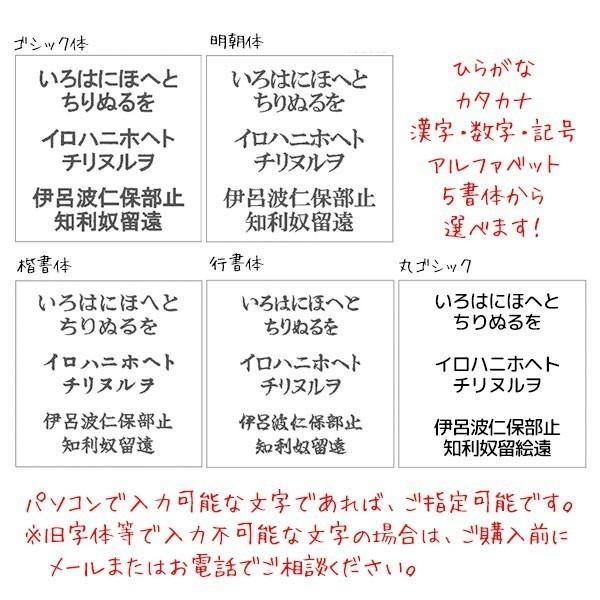 限定価格セール ゼッケン 運動会 オーダー ネームワッペン お名前ワッペン ネームタグ Oyostate Gov Ng