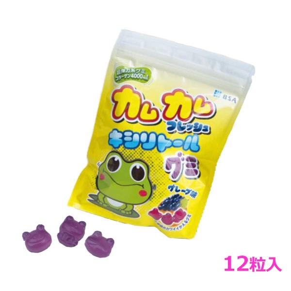 歯科医院専売グミ カムカム フレッシュ キシリトールグミ グレープ味 １２粒入 メール便対応４個まで B G 0005 歯材のお店 通販 Yahoo ショッピング