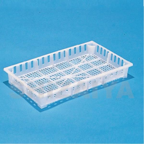 yzz CJP[X-2 y2Zbgz 100151 TR[(Ob) Ɩp