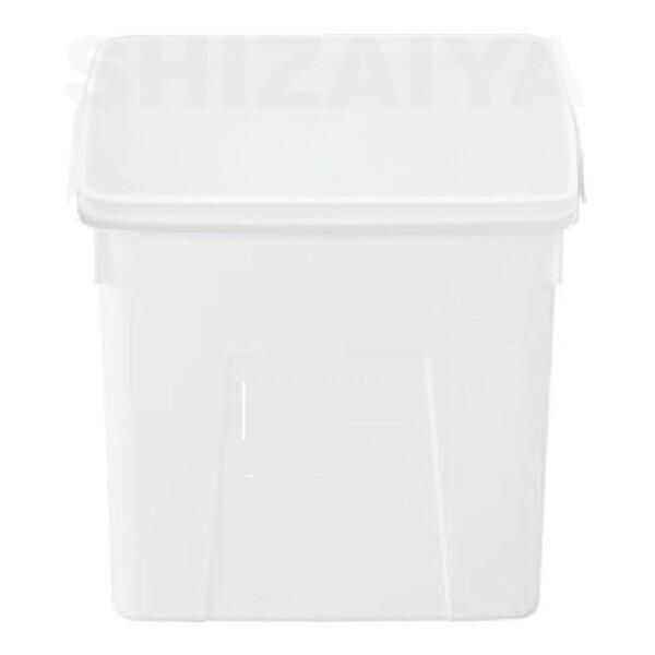 Ty[K#20N({̃t^Ȃ) 202038 TR[(Ob)