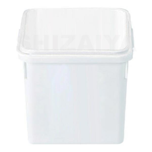 Ty[K#20F({̃t^Ȃ) 202054 TR[(Ob)