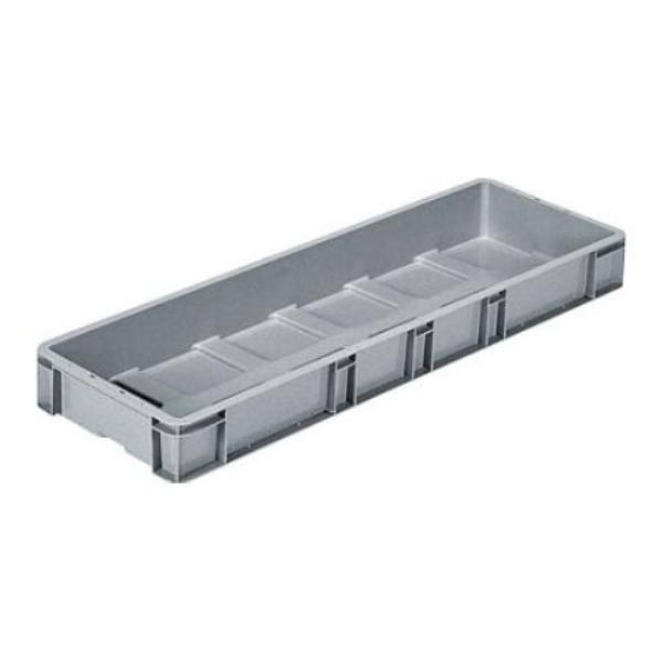 T{bNXTP391 y1z 202506 TR[(Ob) yƖpzEȊO̕ZbgĩN