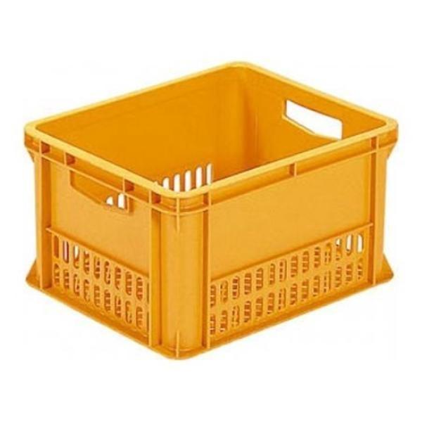 yzz ~NN[g500 y3Zbgz 202603 TR[(Ob) EȊO̕ZbgĩN