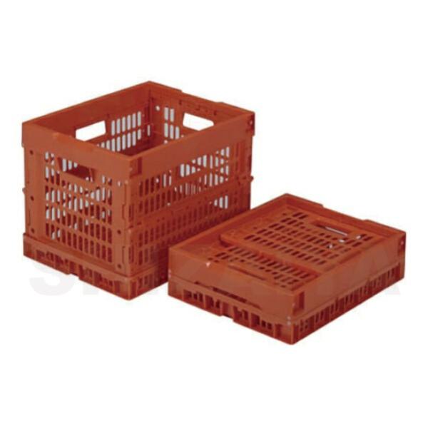 N[IRP28A 558010 TR[(Ob) EȊO̕ZbgĩN