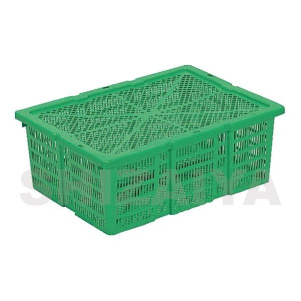 ���T�C�U8K(�{�̃t�^�Z�b�g) 102400 701801 �T���R�[(�O�b)