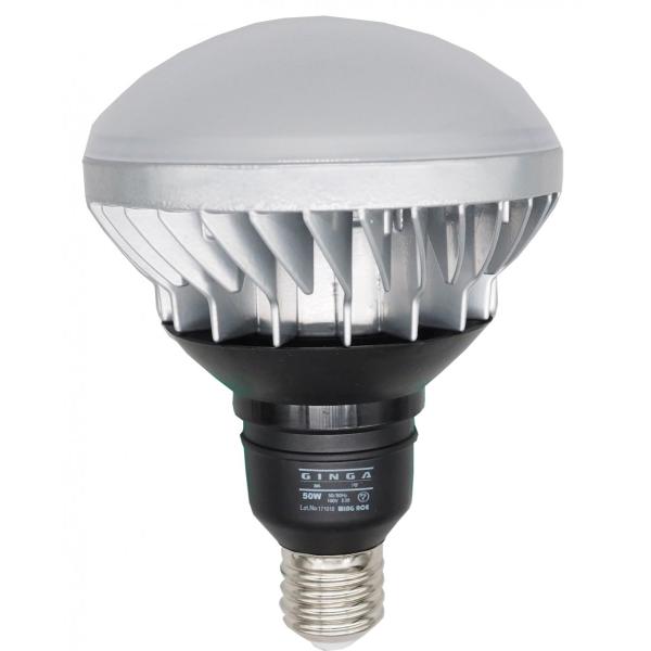 LED投光器　GINGAII（銀河II）用交換球　5500LM　LED-W50-2