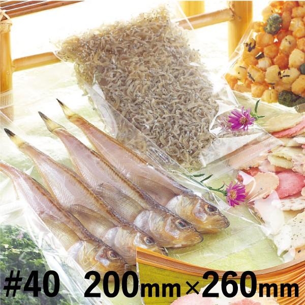 aY WP^Cv WP-440 200mm×260mm 1P[X 5000 